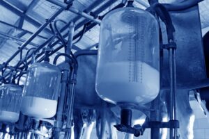 Are you milking the milk price?